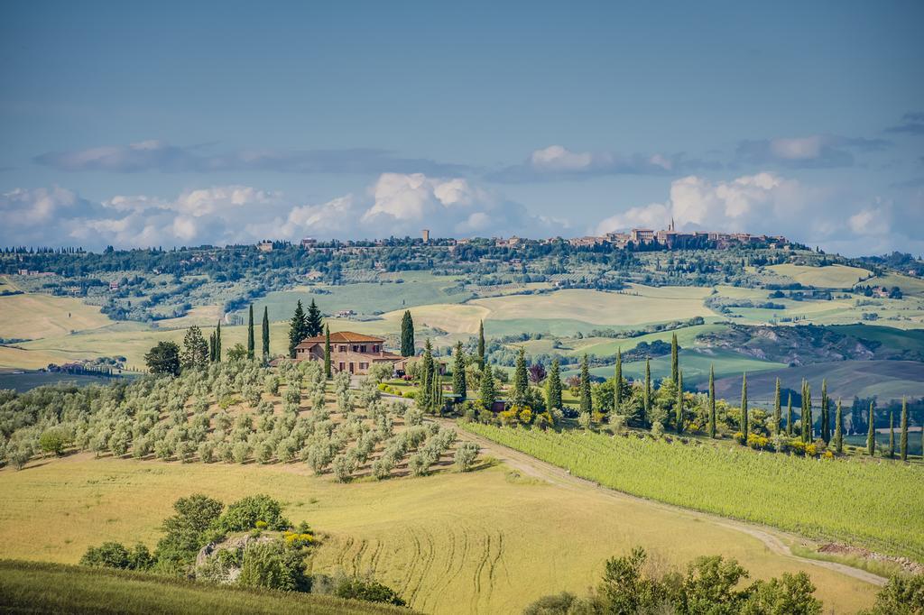 Agriturismo Poggio Istiano Daire Bagno Vignoni Dış mekan fotoğraf