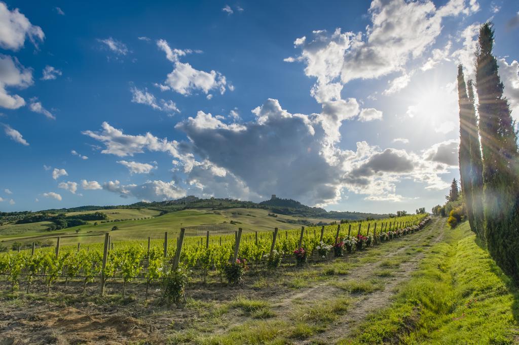 Agriturismo Poggio Istiano Daire Bagno Vignoni Dış mekan fotoğraf