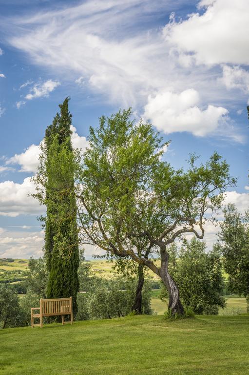 Agriturismo Poggio Istiano Daire Bagno Vignoni Dış mekan fotoğraf