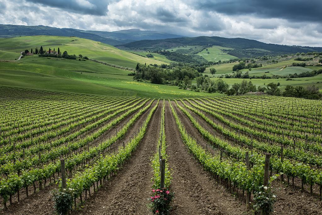 Agriturismo Poggio Istiano Daire Bagno Vignoni Dış mekan fotoğraf